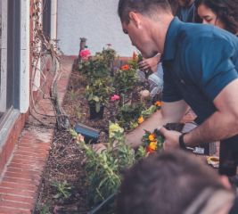 Рабочий по благоустройству и озеленению территорий и объектов